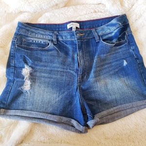 Shorts - plus size curvy girls